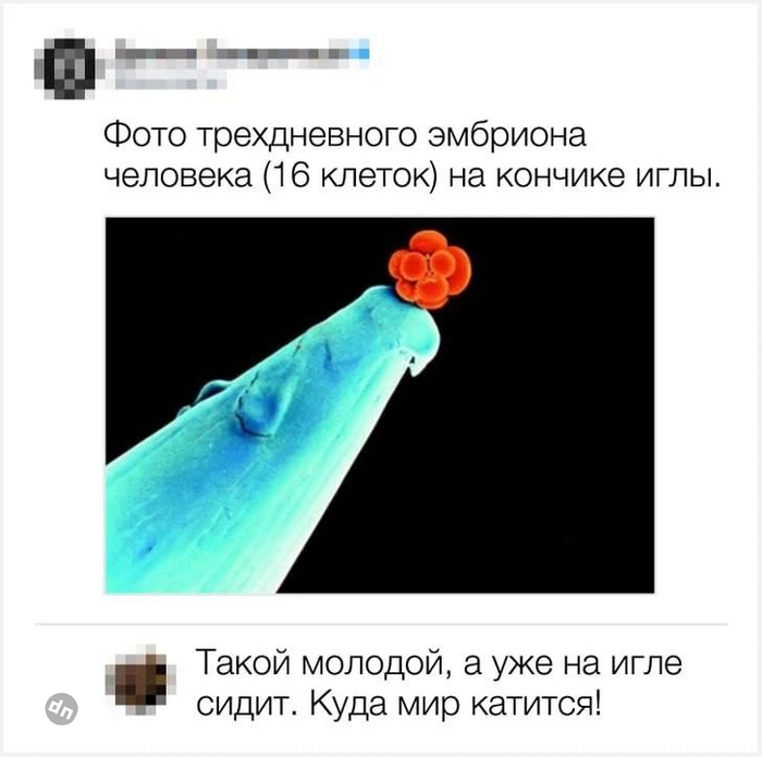 Пользователи говорят