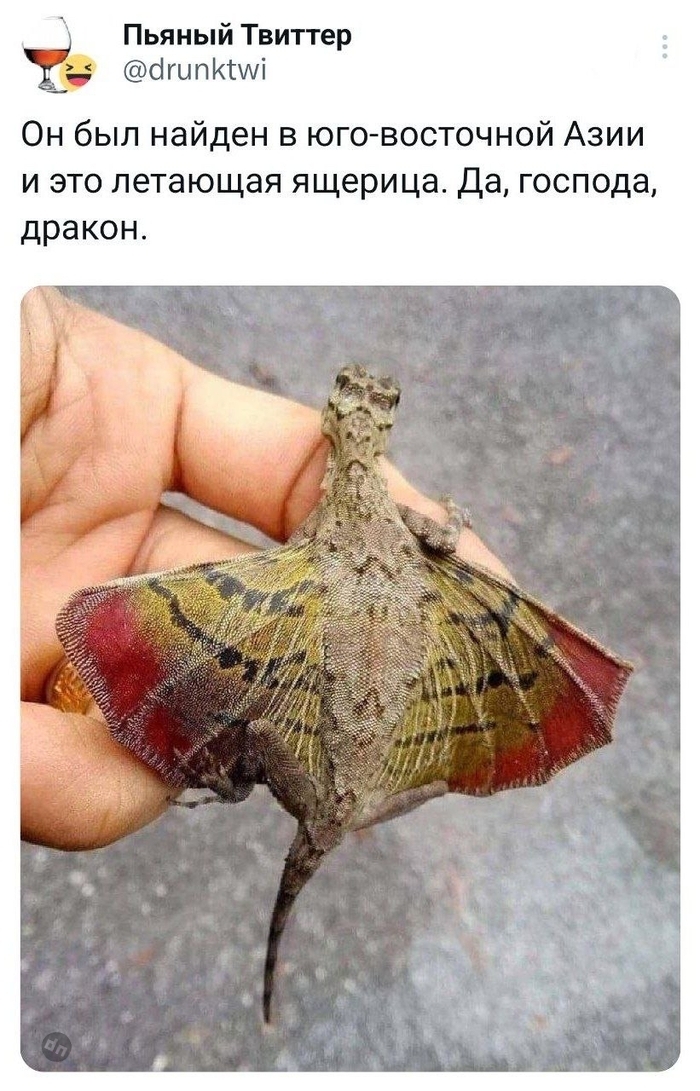 Пользователи говорят