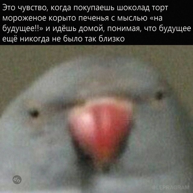 Смешные мемы