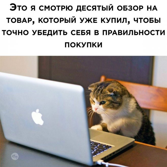 Смешные мемы