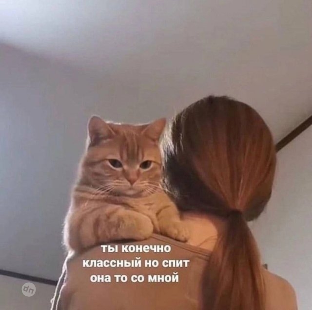 Смешные мемы