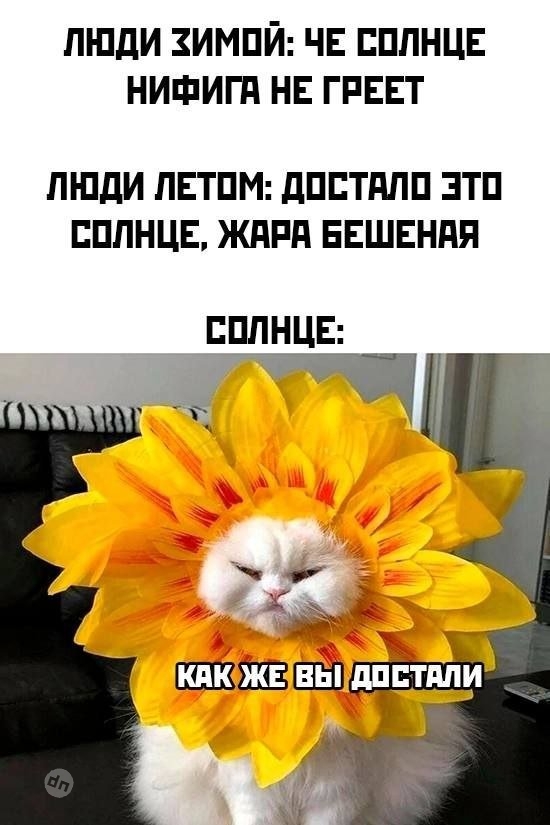 Смешные мемы