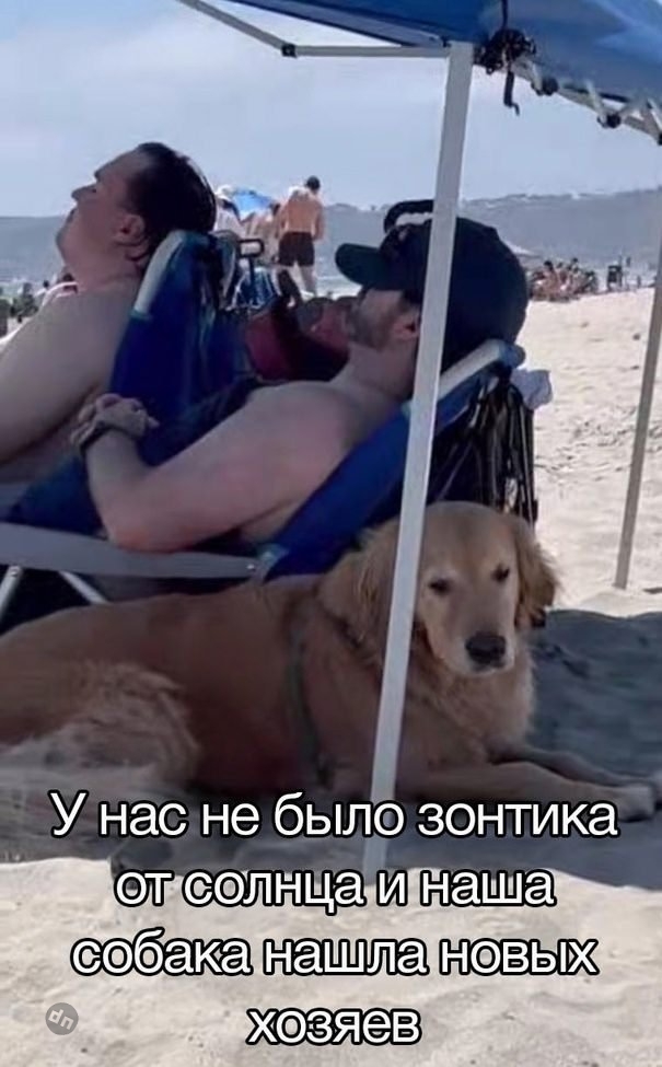 Смешные мемы