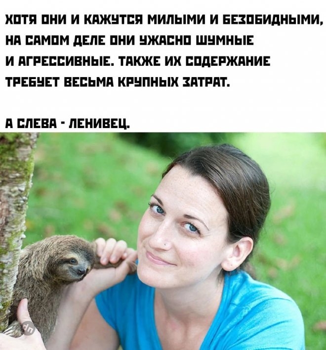Смешные мемы