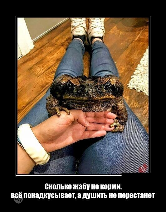 Смешные демотиваторы