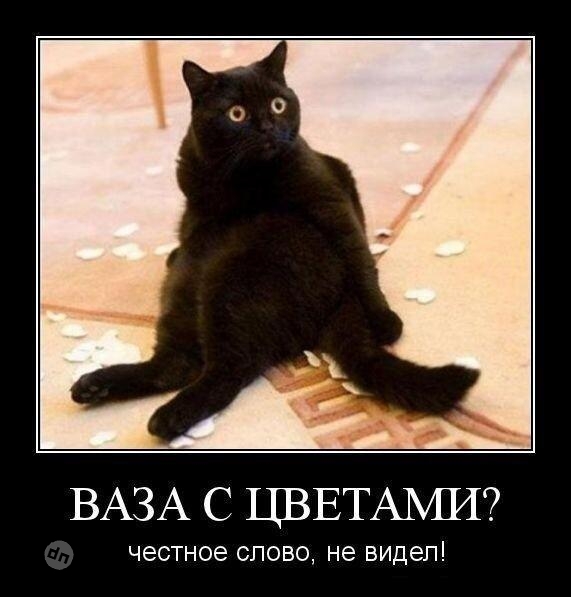 Смешные демотиваторы