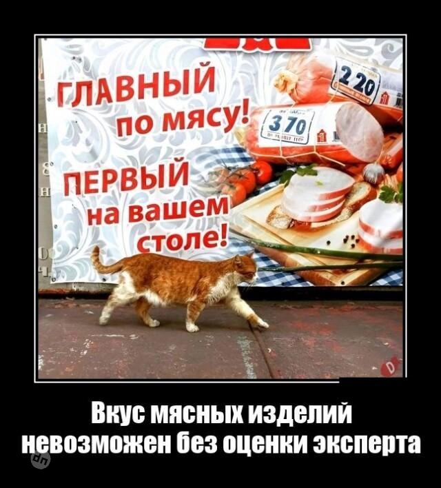 Смешные демотиваторы