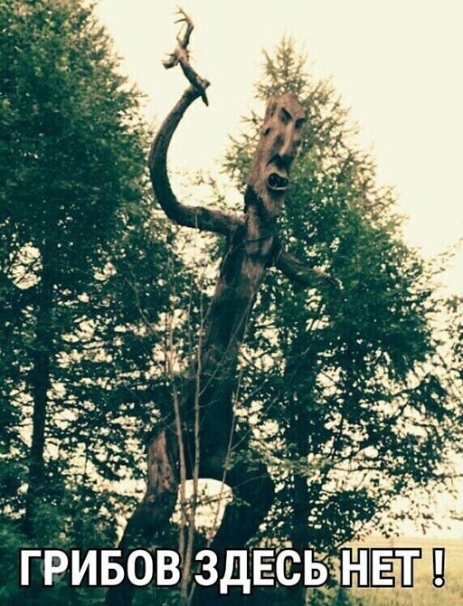 Юмор про алкоголь