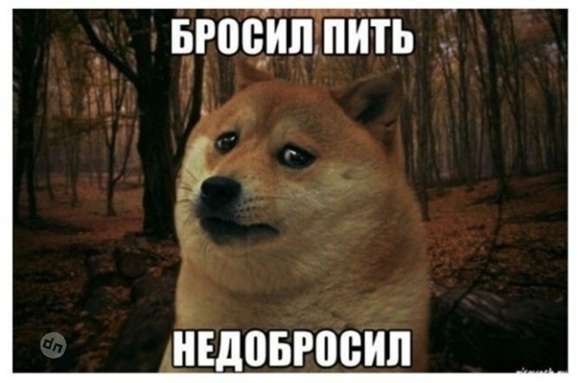 Юмор про алкоголь