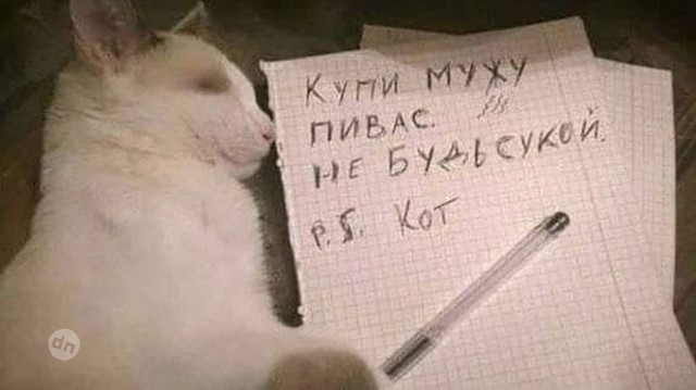 Юмор про алкоголь