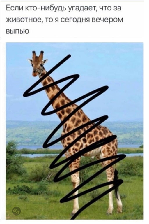 Юмор про алкоголь