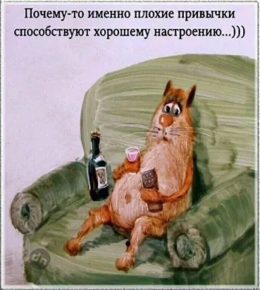 Юмор про алкоголь