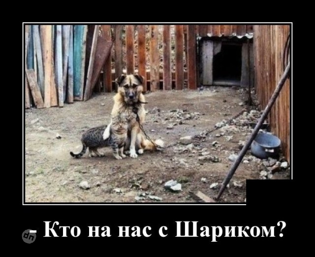 Жизненные демотиваторы