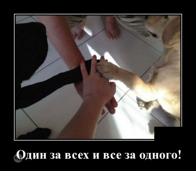 Жизненные демотиваторы