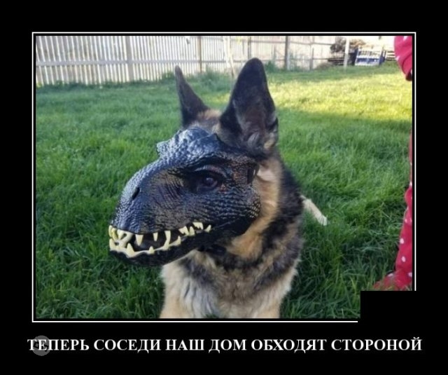 Жизненные демотиваторы