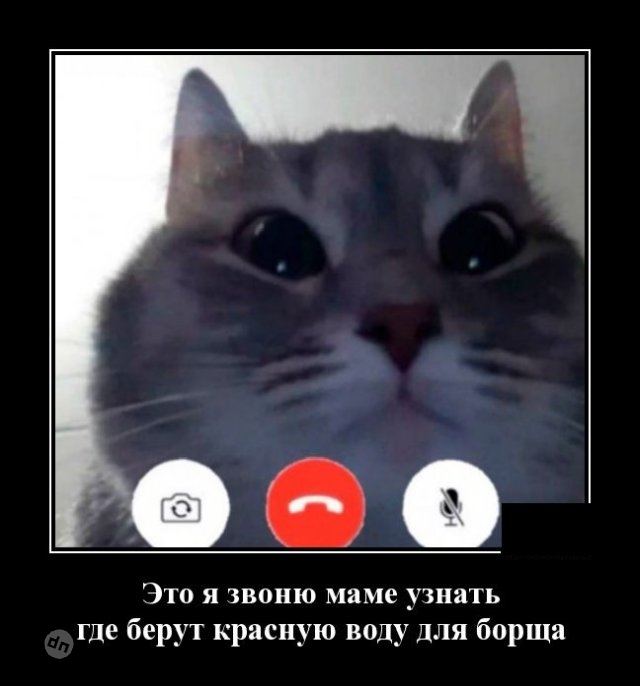 Жизненные демотиваторы