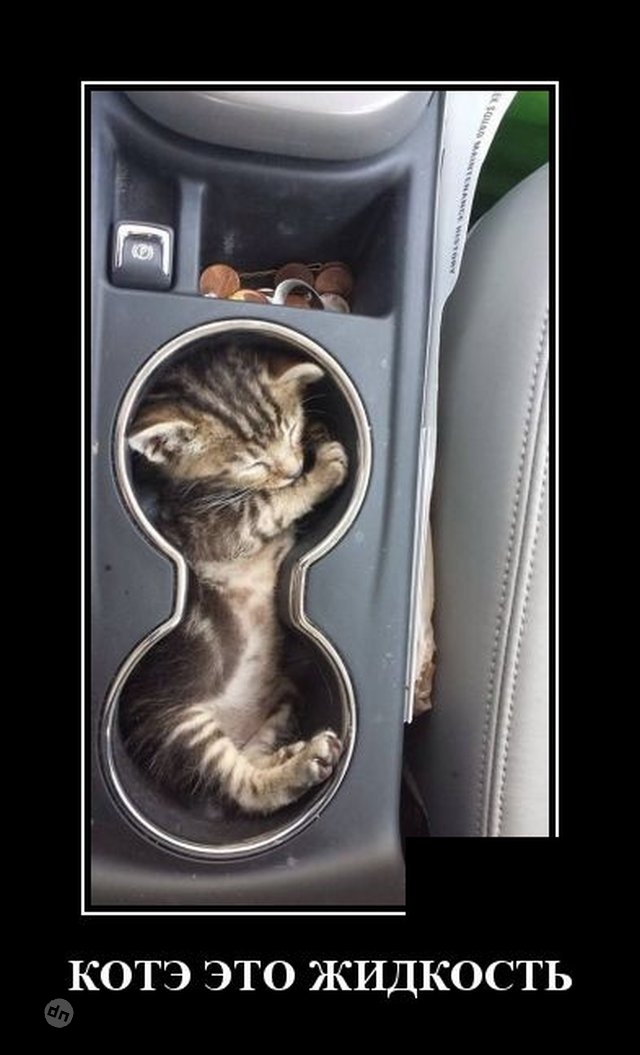 Жизненные демотиваторы