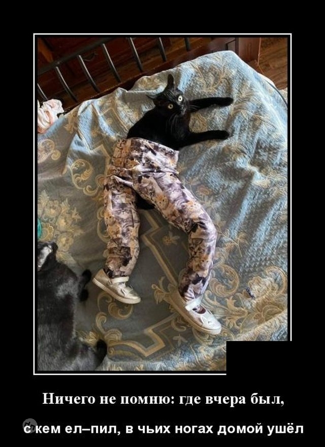 Жизненные демотиваторы