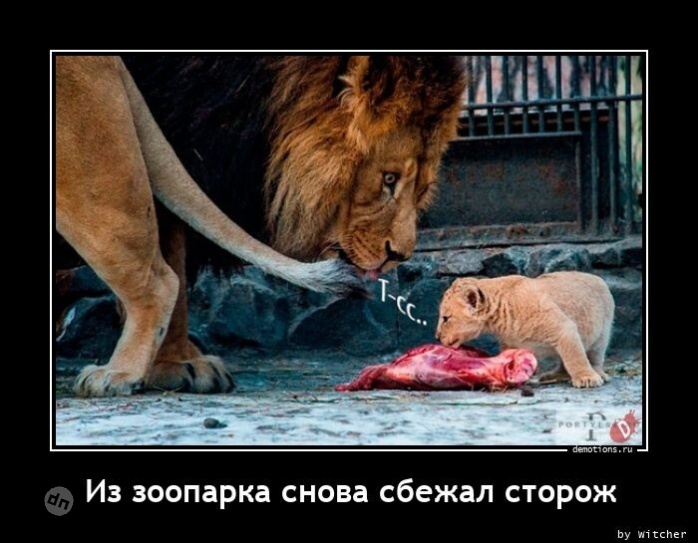 Жизненные демотиваторы