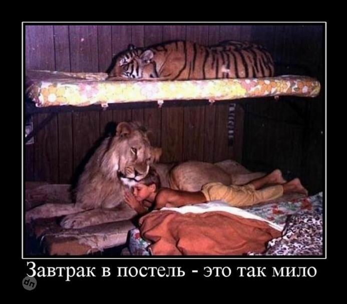 Жизненные демотиваторы