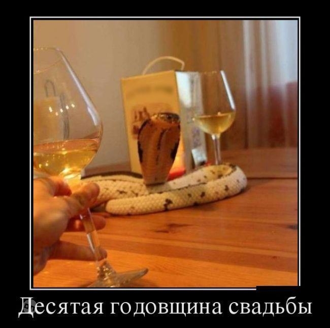 Юмор про отношения