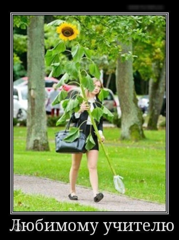 Смешные картинки про учебу