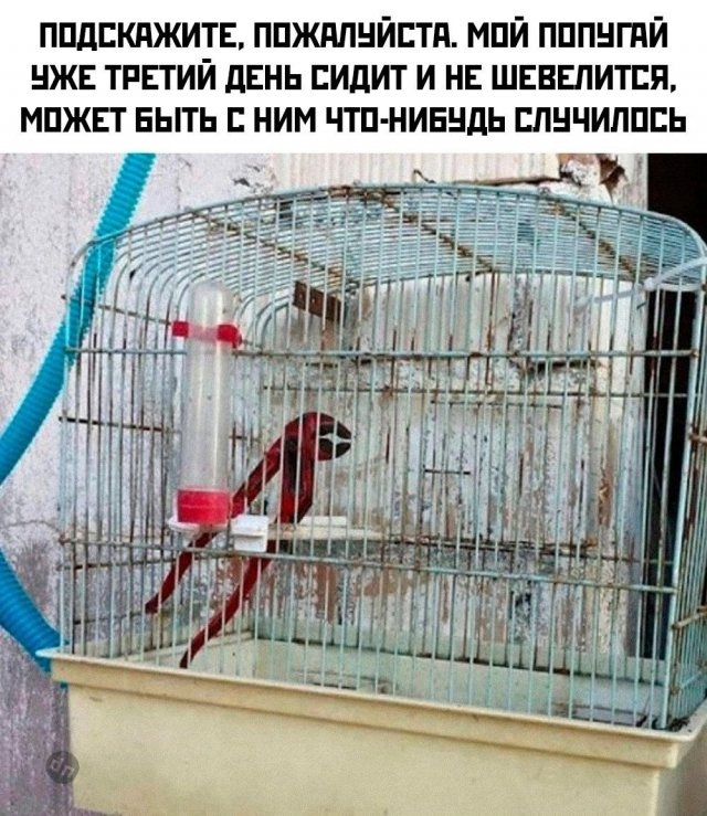 Смешной юмор