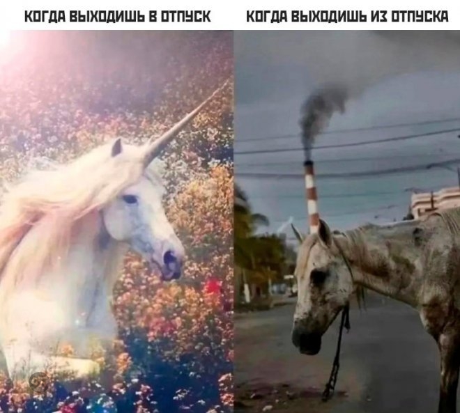 Смешной юмор