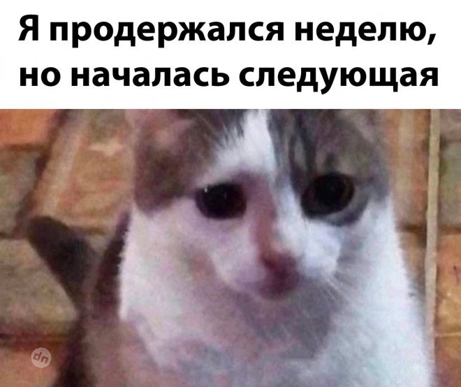 Смешной юмор