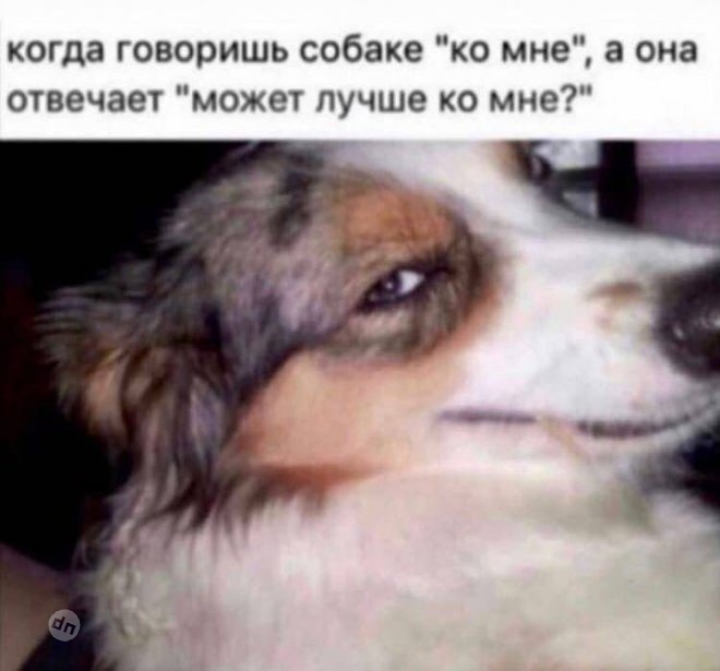 Смешной юмор