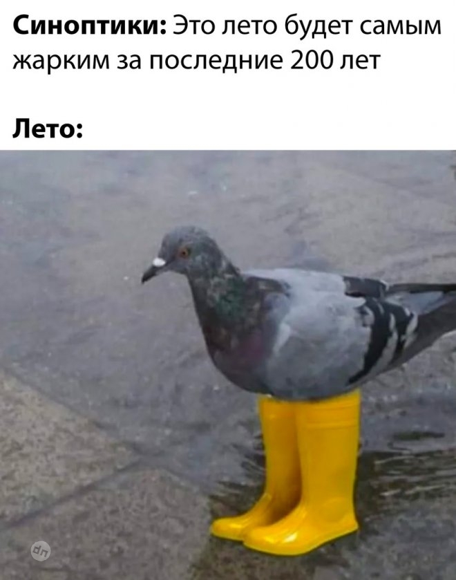 Смешной юмор