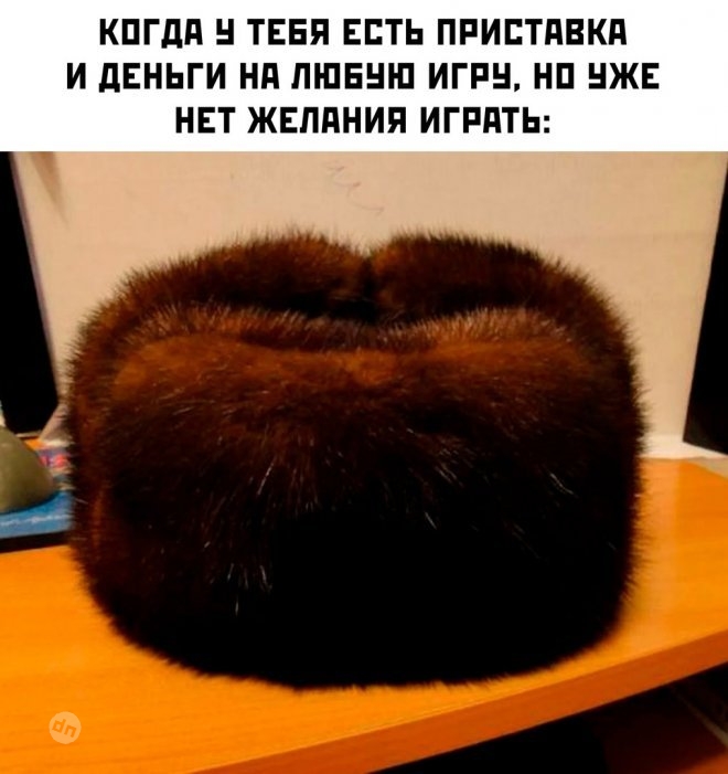 Смешные картинки