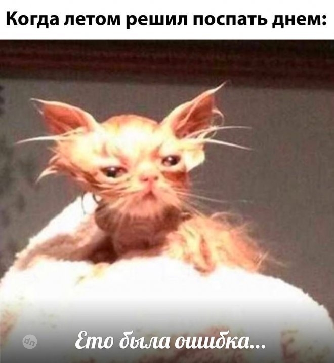 Смешные картинки