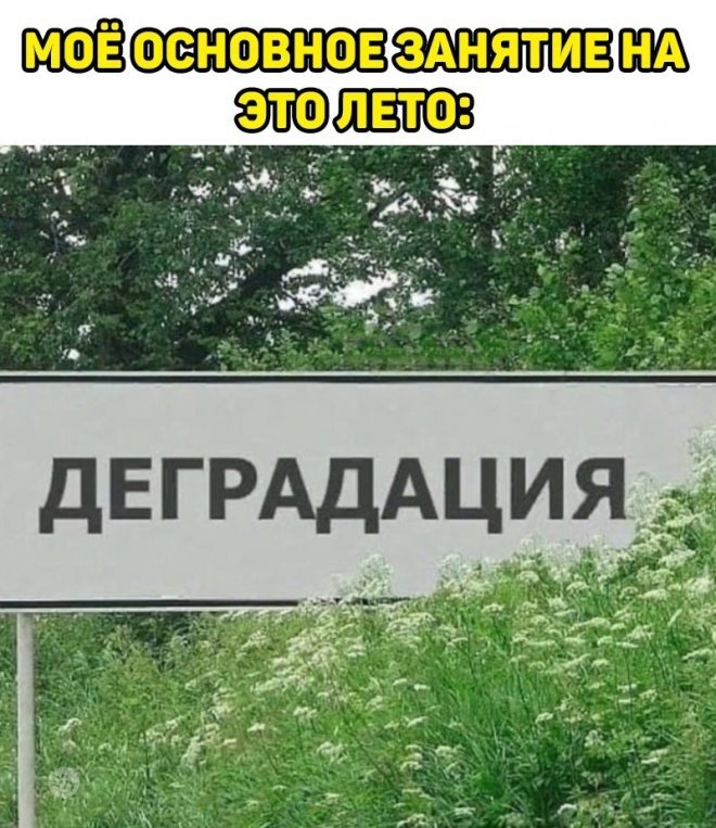 Смешные картинки