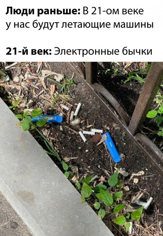 Смешные картинки