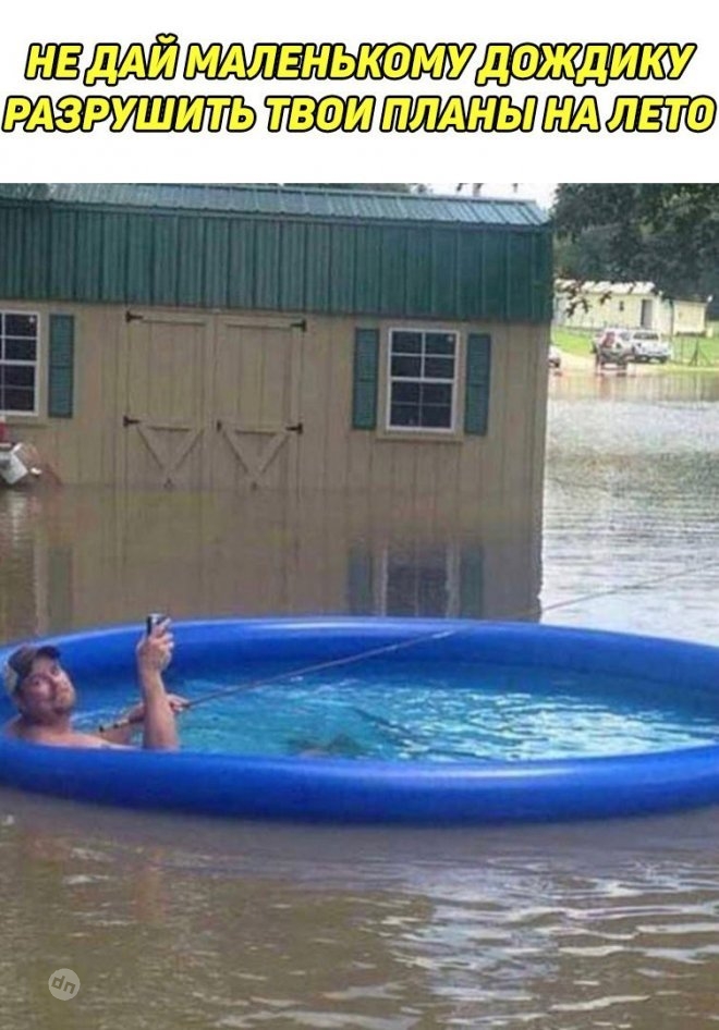 Смешные картинки