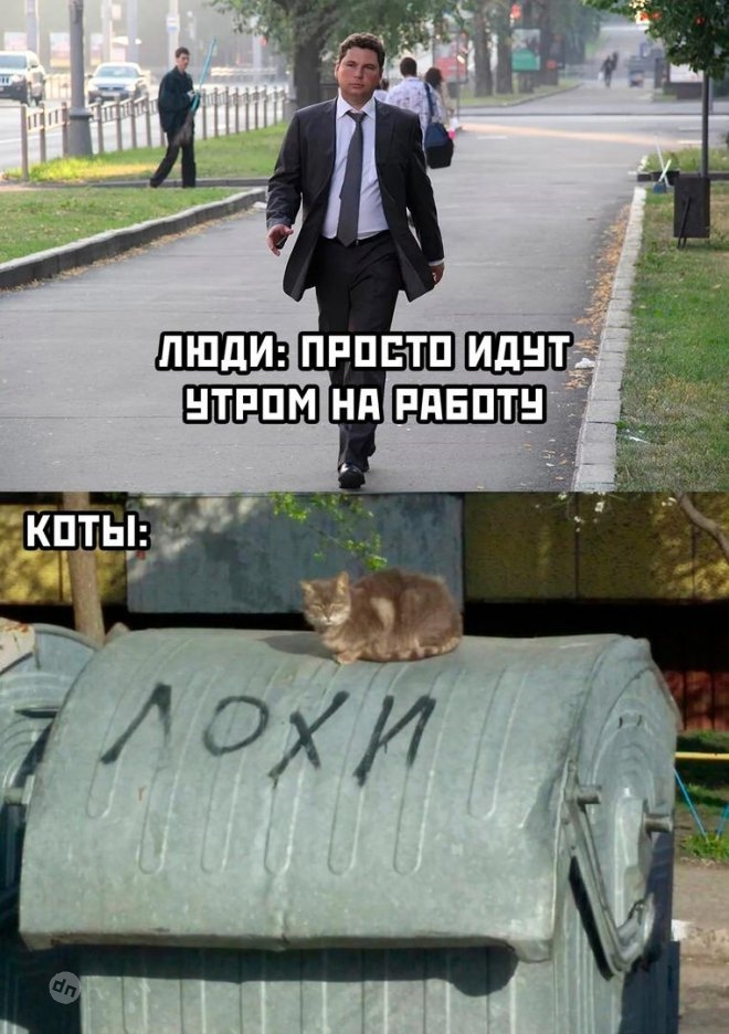 Смешные картинки