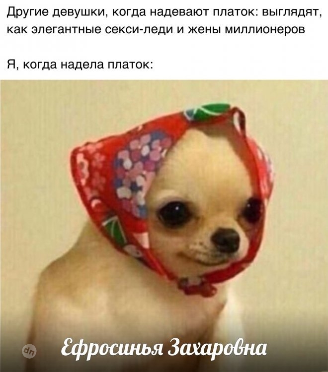 Смешные картинки