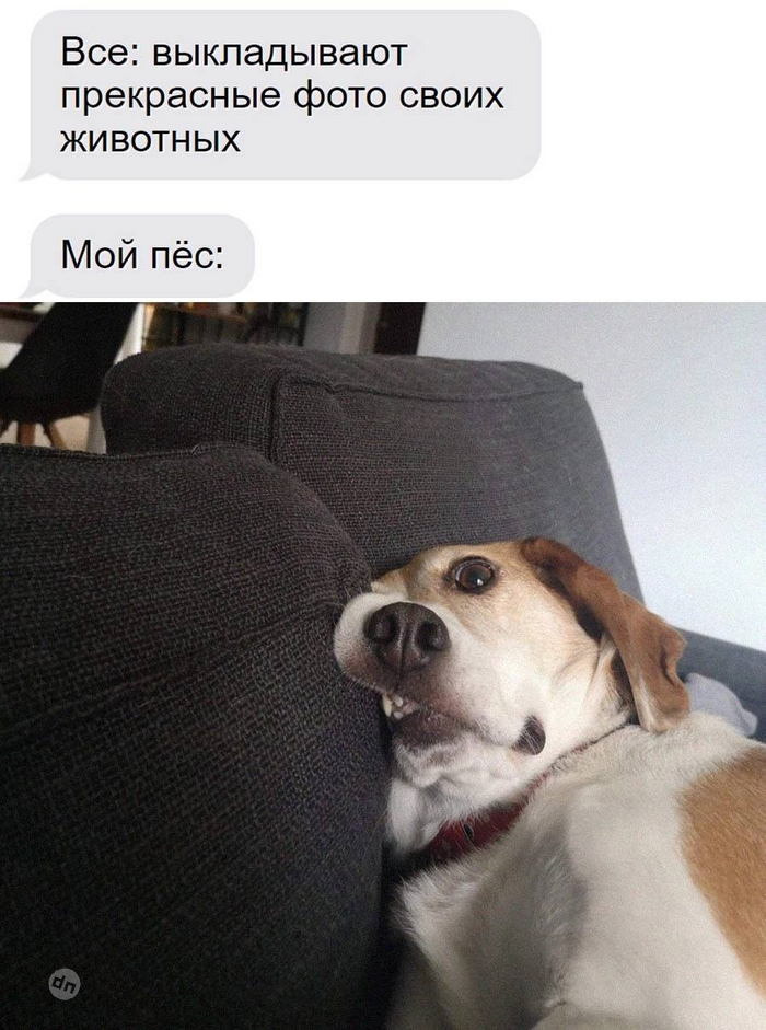 Смешной комментарий