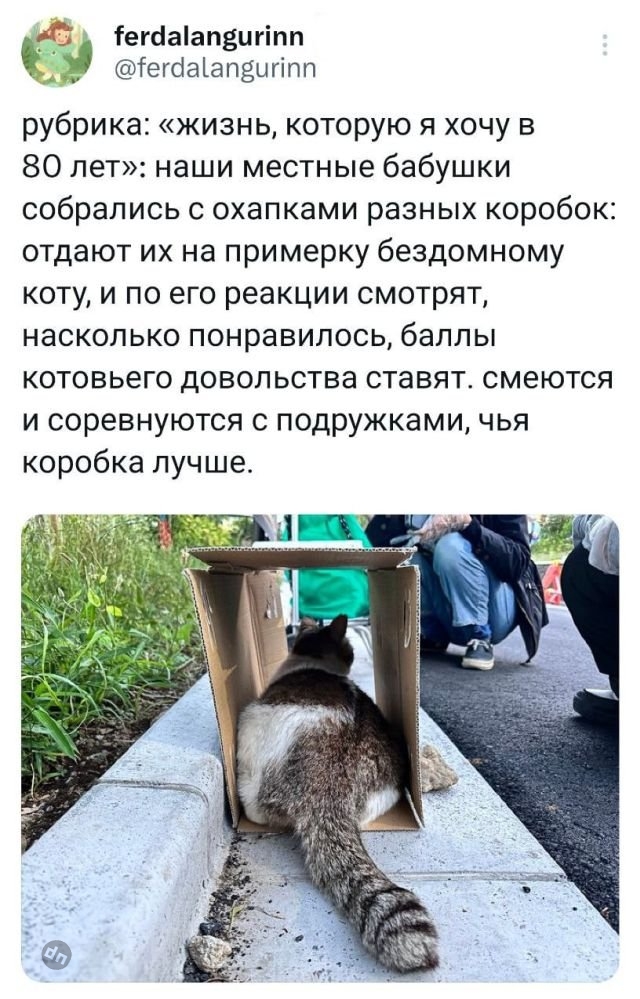 Комментария смешные в соцсетях