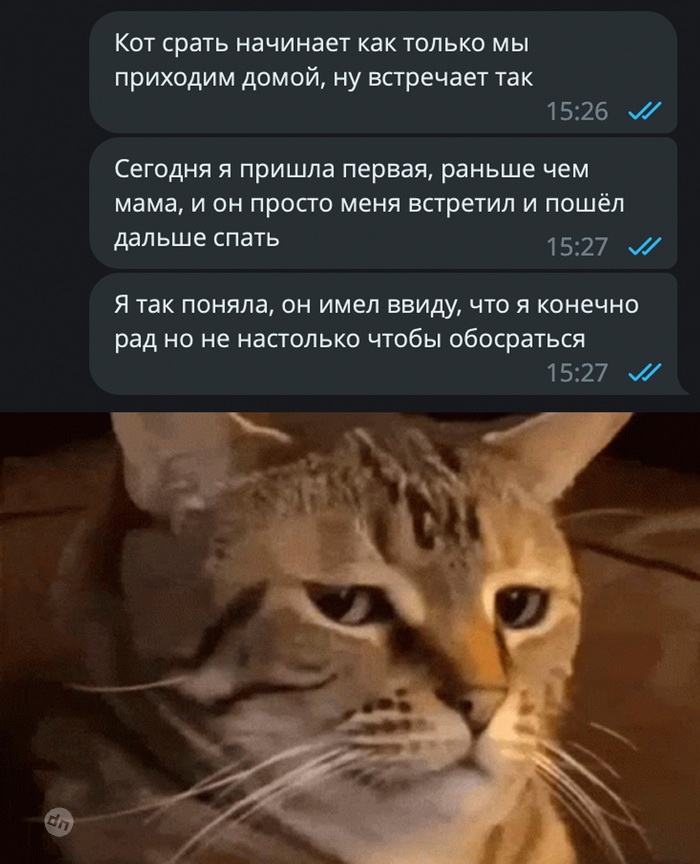 Комментария смешные в соцсетях