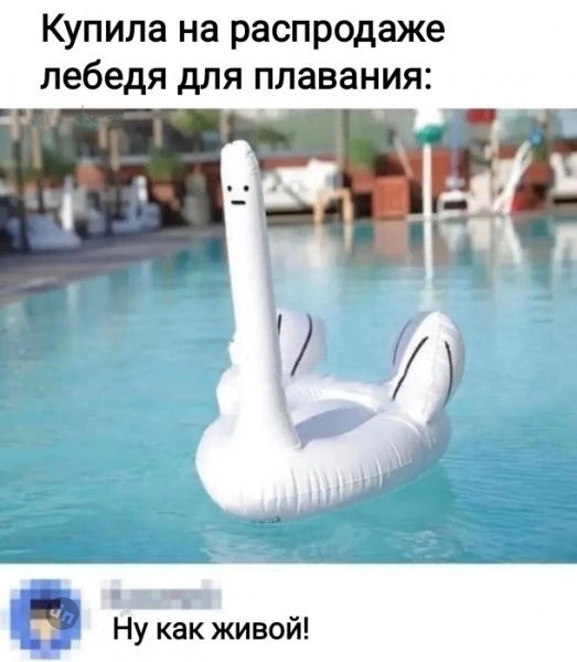 Комментария смешные в соцсетях