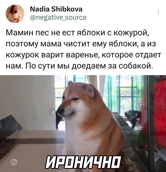 Комментария смешные в соцсетях