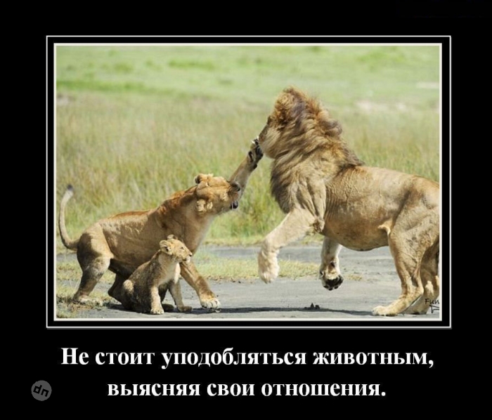 Юмор про отношения