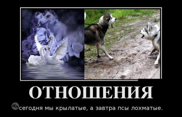 Юмор про отношения