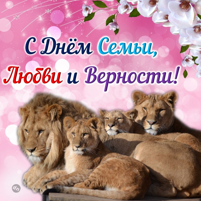 С днём Семьи, Любви и Верности 8 Июля - Картинки