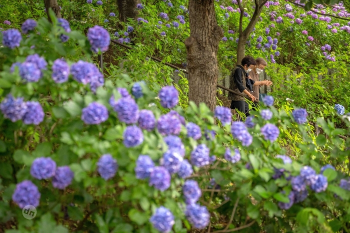 Япония в фото