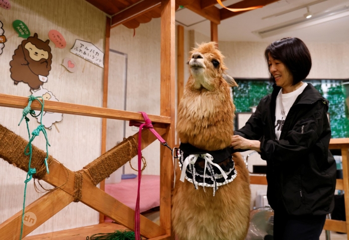 Япония в фото