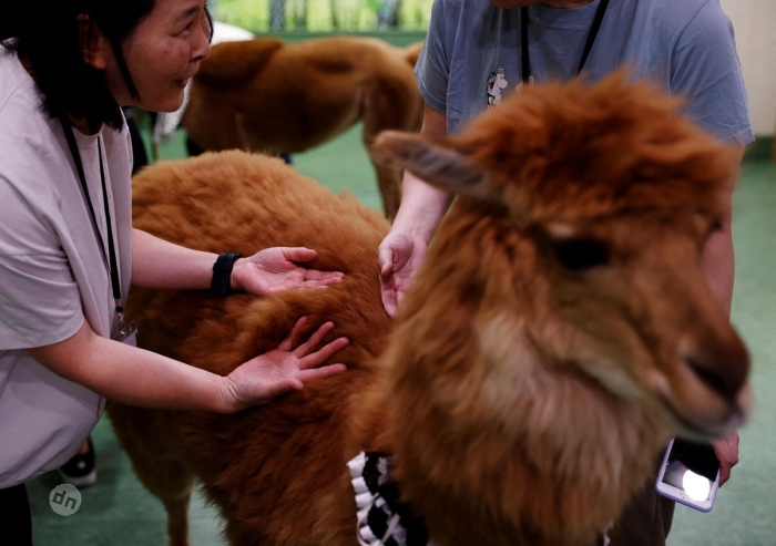 Япония в фото