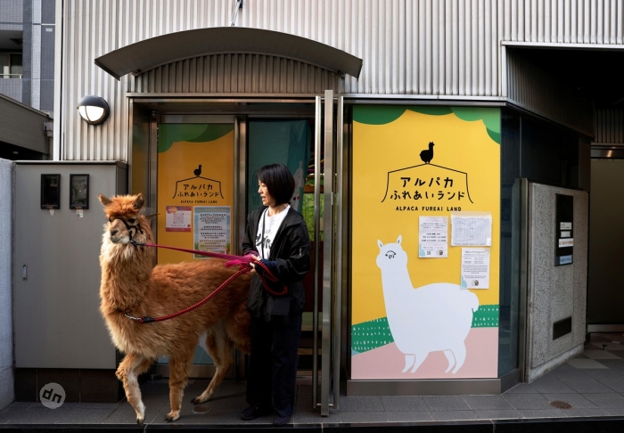 Япония в фото